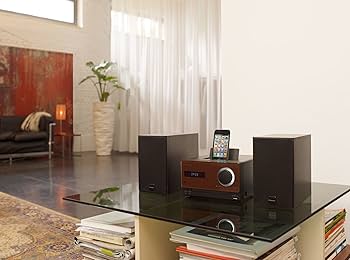 Amazon.co.jp: Pioneer X-CM31-T CD Mini Component System for